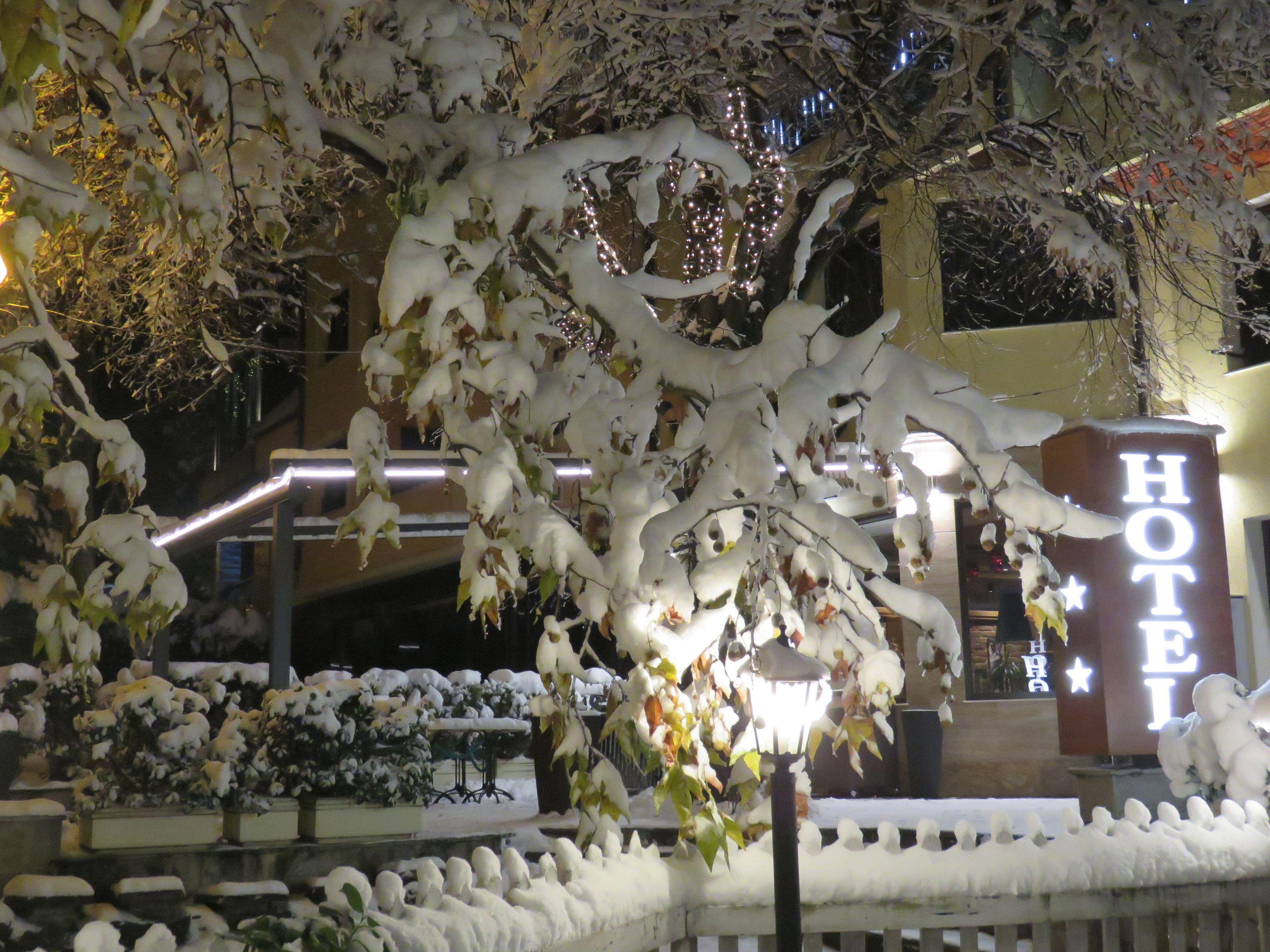 Hotel Villa Boyana - Free Parking — Photos 3