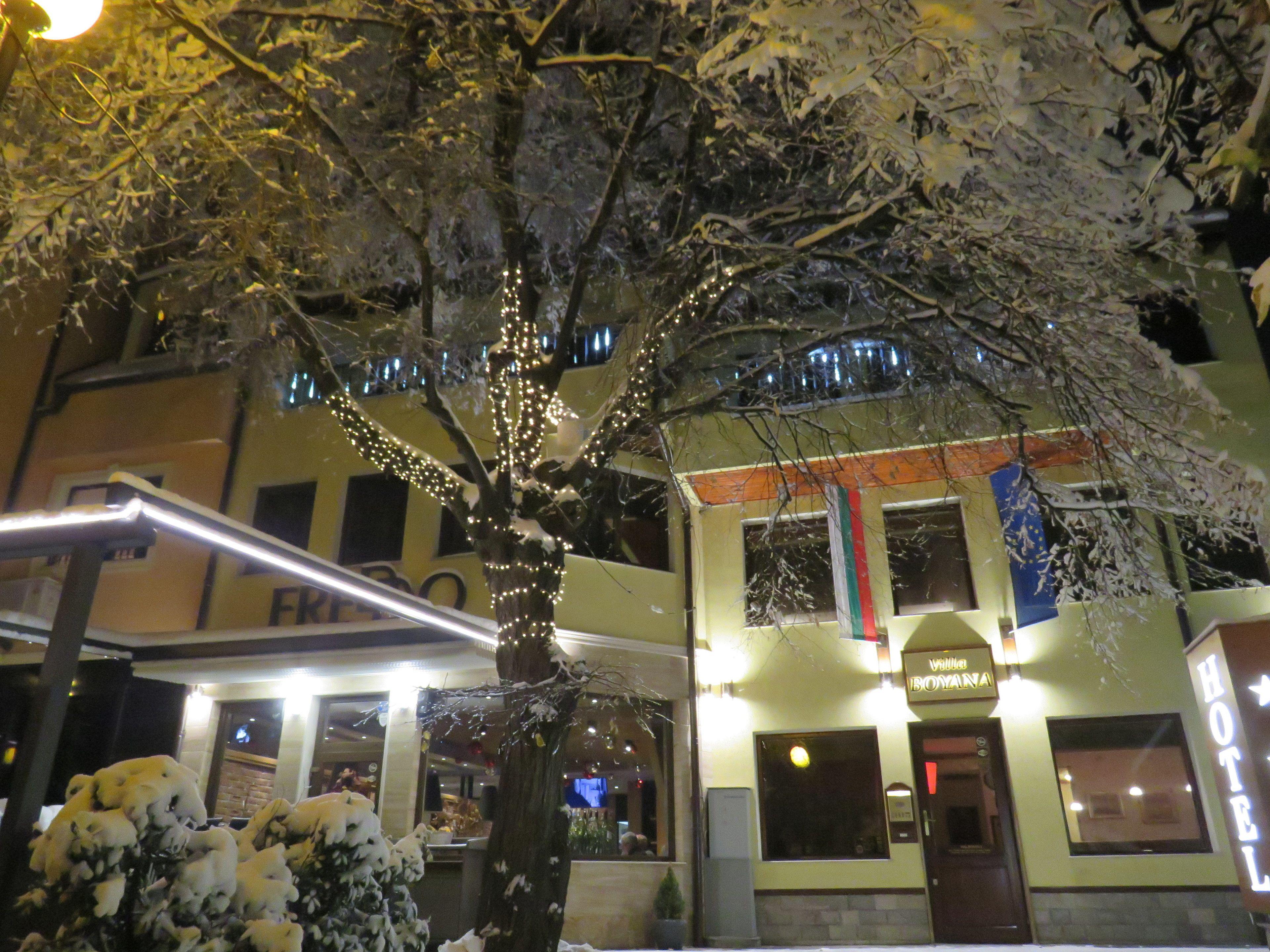 Hotel Villa Boyana - Free Parking, Sofia